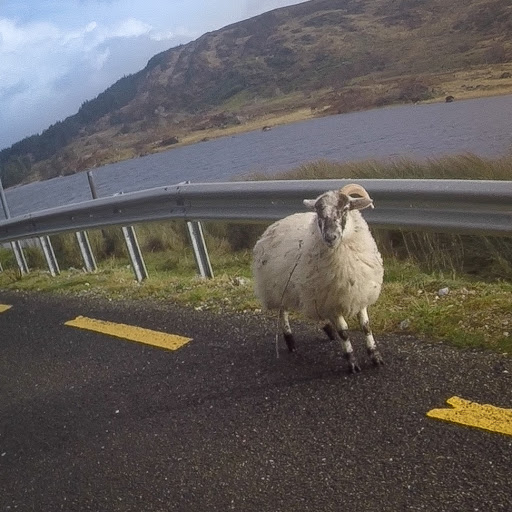 Classic roadside scene. From 11 photos that capture the essence of rural Ireland